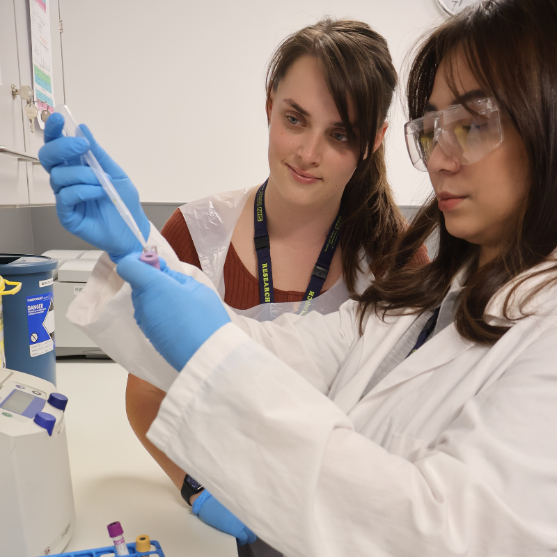 two staff members conducting a research project 