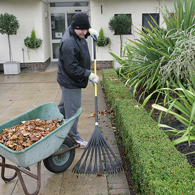 Male gardening